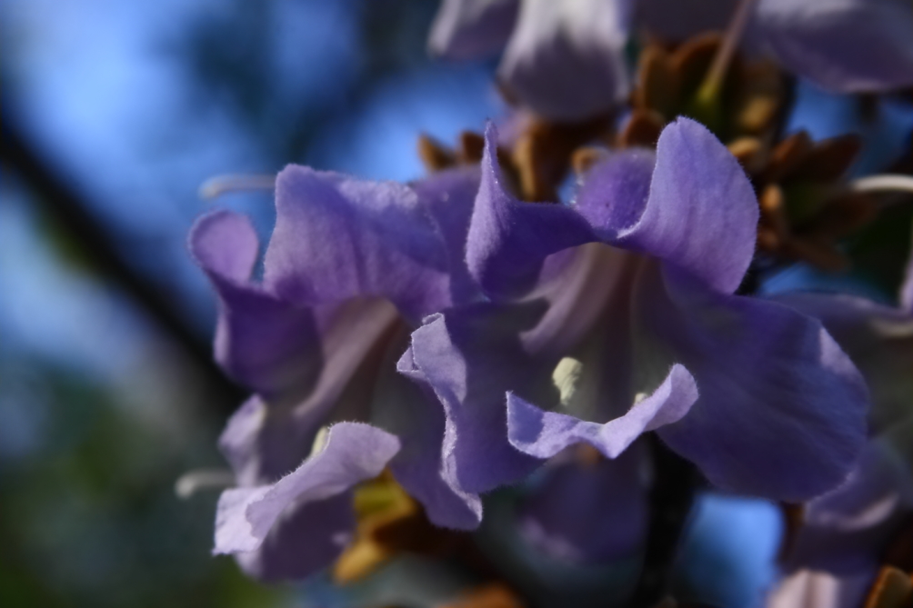 2012 05 19 3570